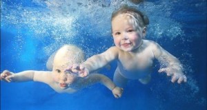 danger bébés nageurs