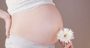 Belly of a pregnant woman with flower.