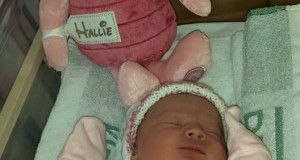 hallie-new-3