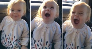 Toddler lipsyncs to Adele
Please credit: Youtube / Tangee mcMahon
And hyperlink: https://www.youtube.com/watch?v=GXnu23ESbH0
