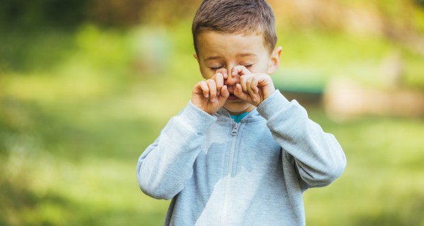 adobestock_502418640