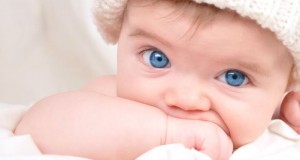 17352403 - a young child is looking into the camera and sucking their hand  the baby is wearing a hat and has bright blue eyes  use it for a parenting or love concept