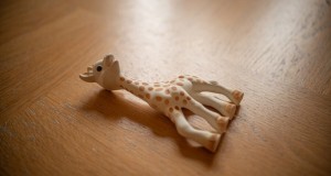 sophie-la-girafe-moisissure