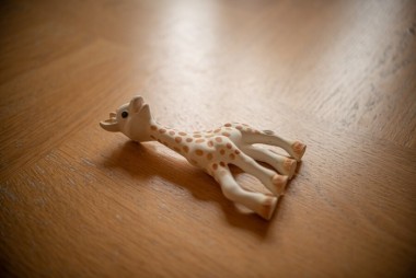 sophie-la-girafe-moisissure